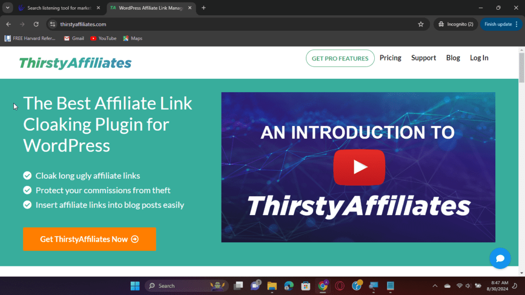 Screenshot of the Hero Section of ThirstyAffiliates... Best Affiliate Marketing